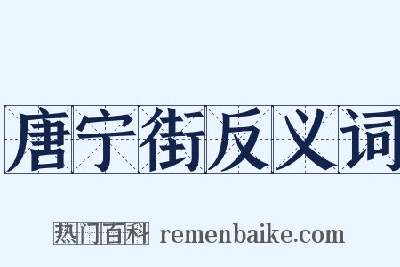 唐宁街反义词是什么意思的图片
